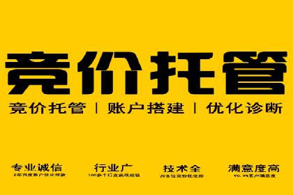 电商信息流推广策略：案例分析及优化